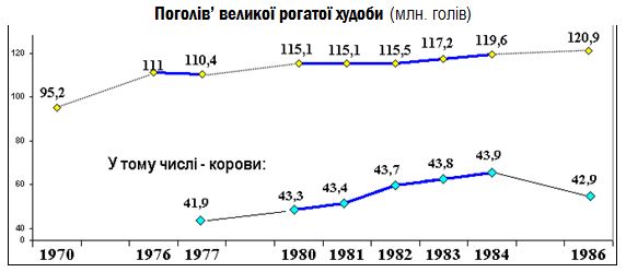 Vytoky-21-13